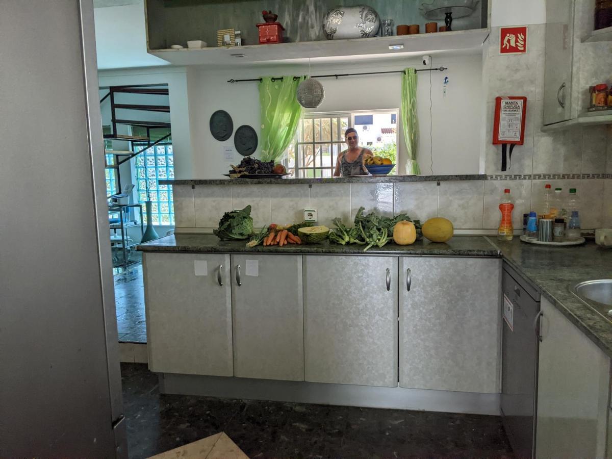 Dolphin House Hostel Faro Ngoại thất bức ảnh